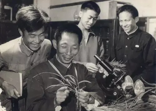 &#21338;&#40060;&#23448;&#26041;&#32593;&#39029;&#29256;&#45;&#21338;&#40060;&#40;&#20013;&#22269;&#41;