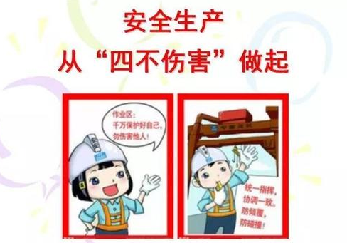 &#21338;&#40060;&#23448;&#26041;&#32593;&#39029;&#29256;&#45;&#21338;&#40060;&#40;&#20013;&#22269;&#41;